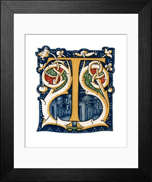 Framed Print : Initial letter T, (1843). Artist: Henry Shaw Framed Print : Initial letter T, (1843). Artist: Henry Shaw