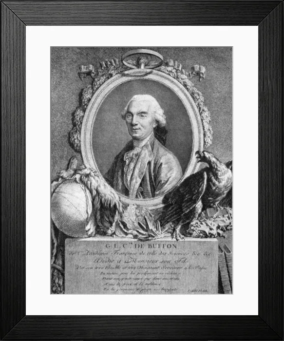Framed Print : Georges-Louis Leclerc, Comte de Buffon, French naturalist, 18th century Framed Print : Georges-Louis Leclerc, Comte de Buffon, French naturalist, 18th century