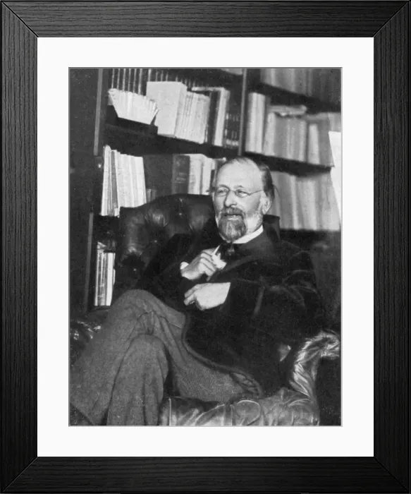 Framed Print : Hippolyte Taine, French critic and historian, 1890. Artist: Chevrillon Framed Print : Hippolyte Taine, French critic and historian, 1890. Artist: Chevrillon