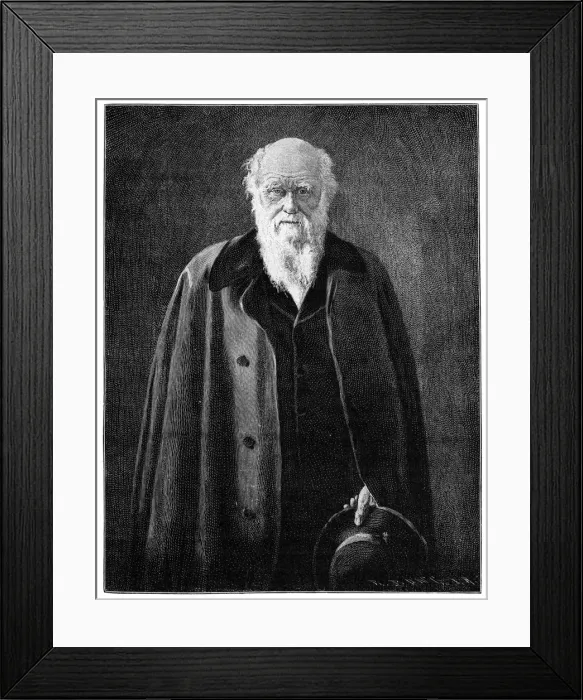 Framed Print : Charles Darwin, renowned naturalist and thinker, (1900) Framed Print : Charles Darwin, renowned naturalist and thinker, (1900)