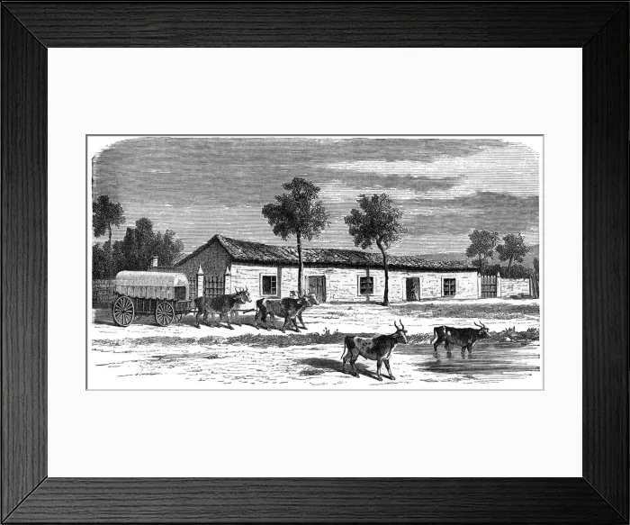 Framed Print : A Boer farm, South Africa, c1890 Framed Print : A Boer farm, South Africa, c1890