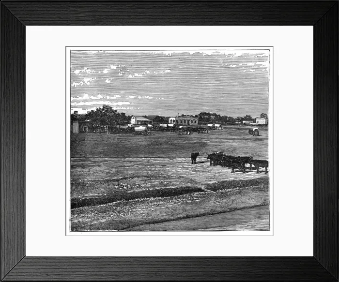 Framed Print : Potchefstroom, the Transvaal, South Africa, c1890 Framed Print : Potchefstroom, the Transvaal, South Africa, c1890