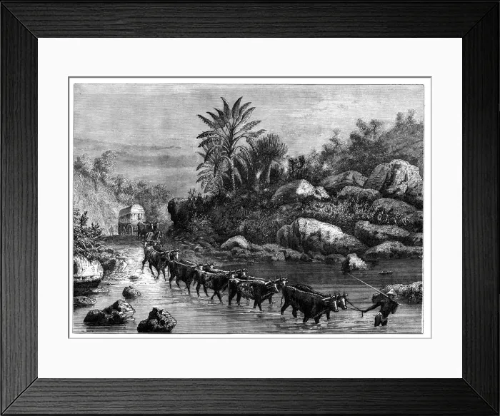 Framed Print : Travelling in Griqualand, South Africa, c1890 Framed Print : Travelling in Griqualand, South Africa, c1890