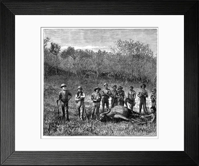 Framed Print : Buffalo hunters in the Transvaal, South Africa, c1890 Framed Print : Buffalo hunters in the Transvaal, South Africa, c1890