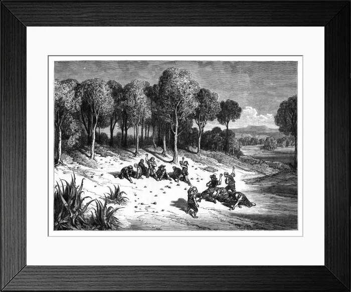 Framed Print : An orange grove in the south of Spain, c1890 Framed Print : An orange grove in the south of Spain, c1890