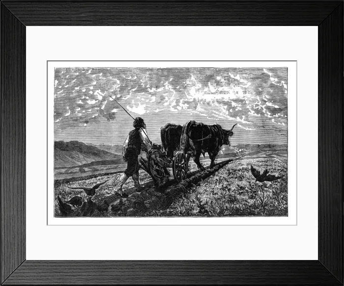 Framed Print : A French agriculturist, c1890 Framed Print : A French agriculturist, c1890
