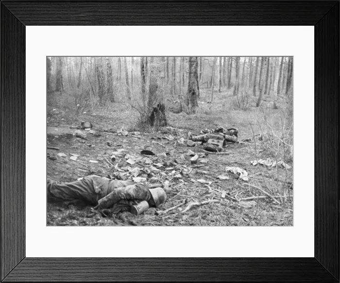 Framed Print : Aftermath of the fighting in the park of Plessis-de-Roye, Picardy, France, 30th March 1918 Framed Print : Aftermath of the fighting in the park of Plessis-de-Roye, Picardy, France, 30th March 1918