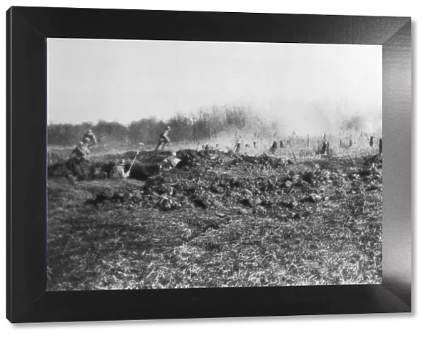 French counter-attack between the Somme and the river Oise, Picardy, France, 1918