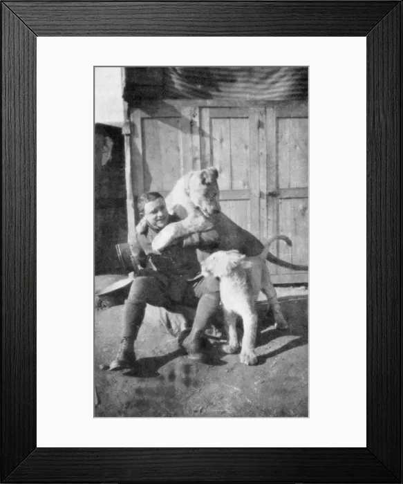 Framed Print : Raoul Lufbery, French-American fighter pilot and flying ace of World War I, 1917 Framed Print : Raoul Lufbery, French-American fighter pilot and flying ace of World War I, 1917