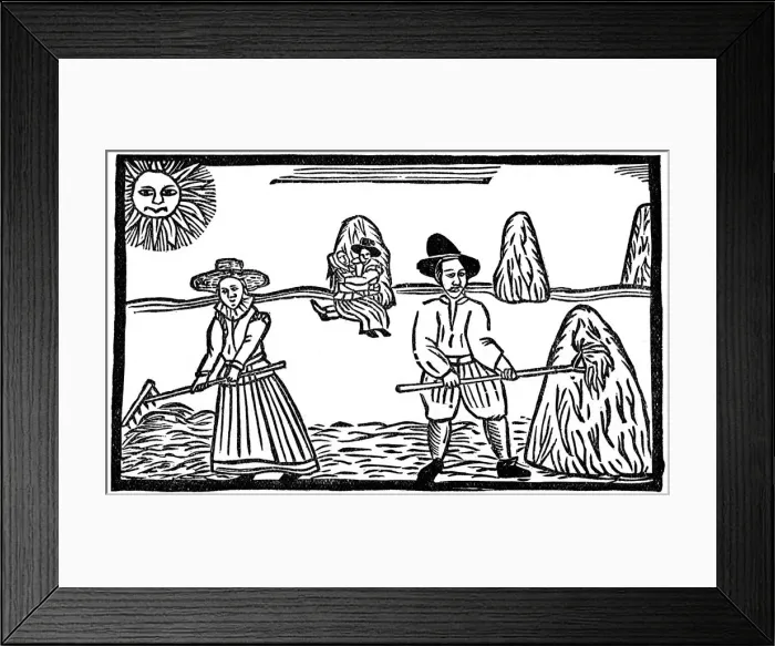Framed Print : Haymaking, early 17th century, (1910) Framed Print : Haymaking, early 17th century, (1910)
