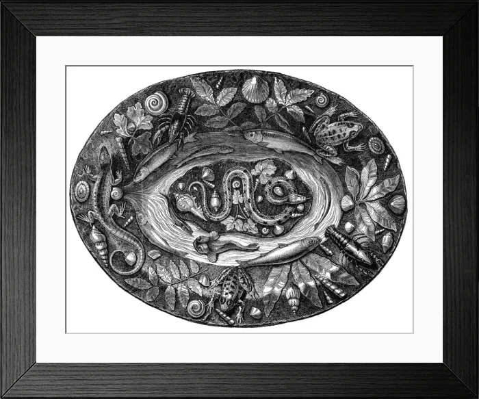 Framed Print : Enamelled dish by Bernard Palissy, 16th century, (1870) Framed Print : Enamelled dish by Bernard Palissy, 16th century, (1870)