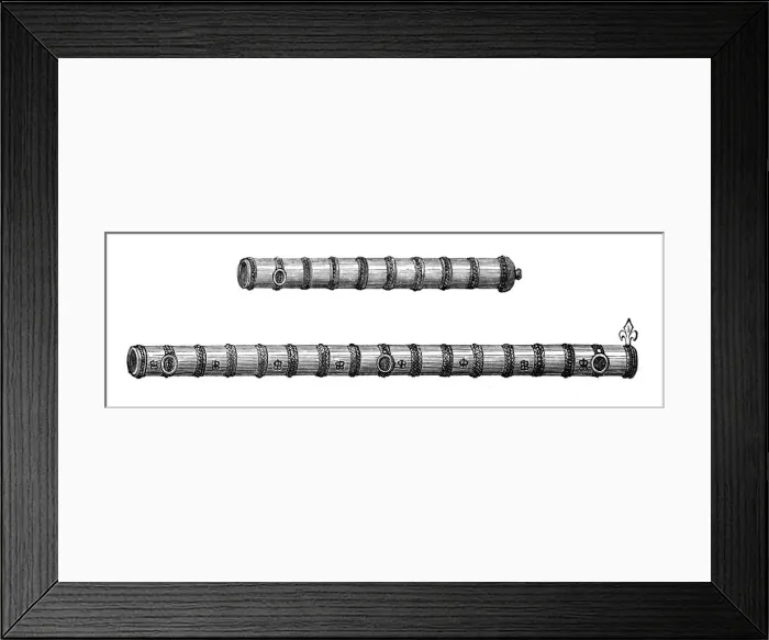 Framed Print : Earliest models of cannon, the Tower of London, (1870) Framed Print : Earliest models of cannon, the Tower of London, (1870)
