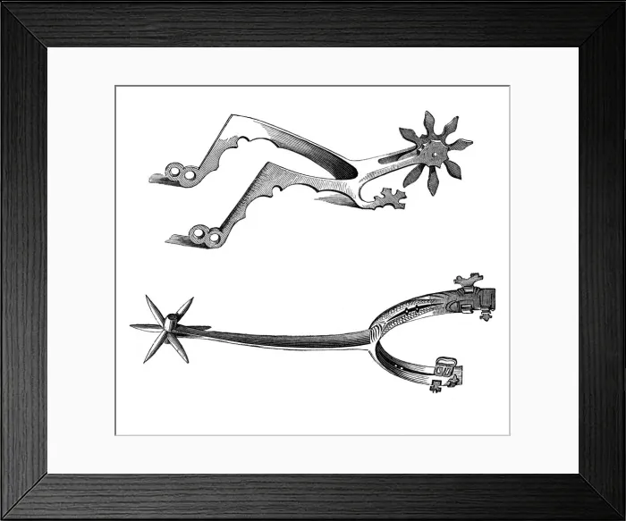 Framed Print : Spurs, 13th-16th century, (1870) Framed Print : Spurs, 13th-16th century, (1870)
