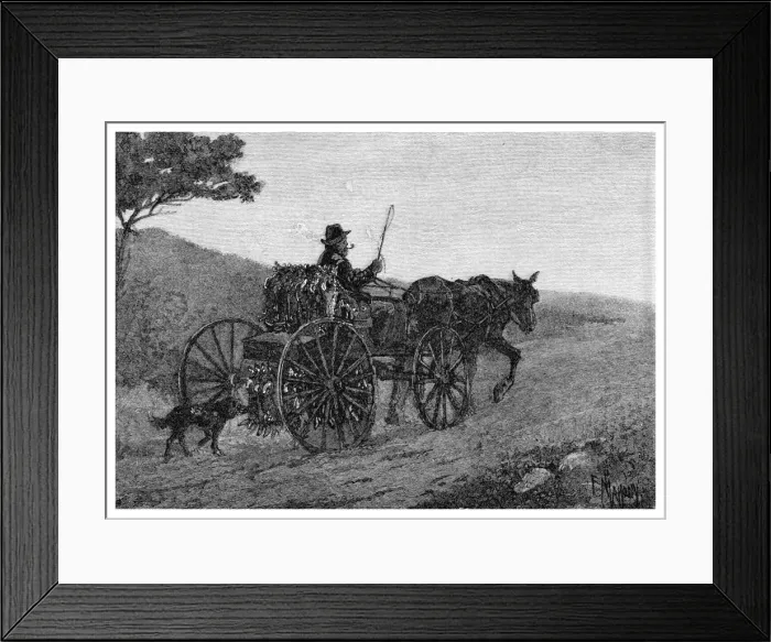 Framed Print : A Colac Rabbit Trapper, 1886. Artist: Frederic B Schell Framed Print : A Colac Rabbit Trapper, 1886. Artist: Frederic B Schell
