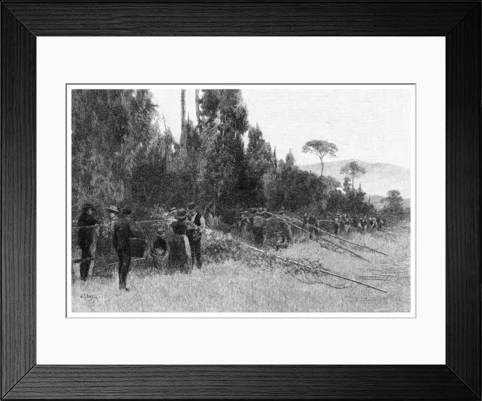 Framed Print : Hop Picking near Bairnsdale, Australia, 1886 Framed Print : Hop Picking near Bairnsdale, Australia, 1886