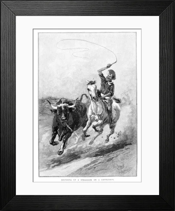 Framed Print : Rounding Up A Straggler On A Cattle Run, Australia, 1886. Artist: Frank P Mahony Framed Print : Rounding Up A Straggler On A Cattle Run, Australia, 1886. Artist: Frank P Mahony