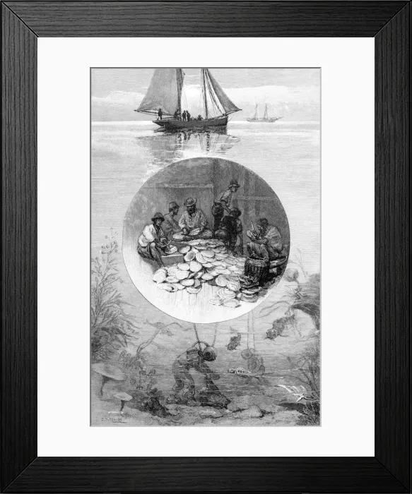 Framed Print : Pearl Fishery, Torres Strait, Australia, 1886 Framed Print : Pearl Fishery, Torres Strait, Australia, 1886