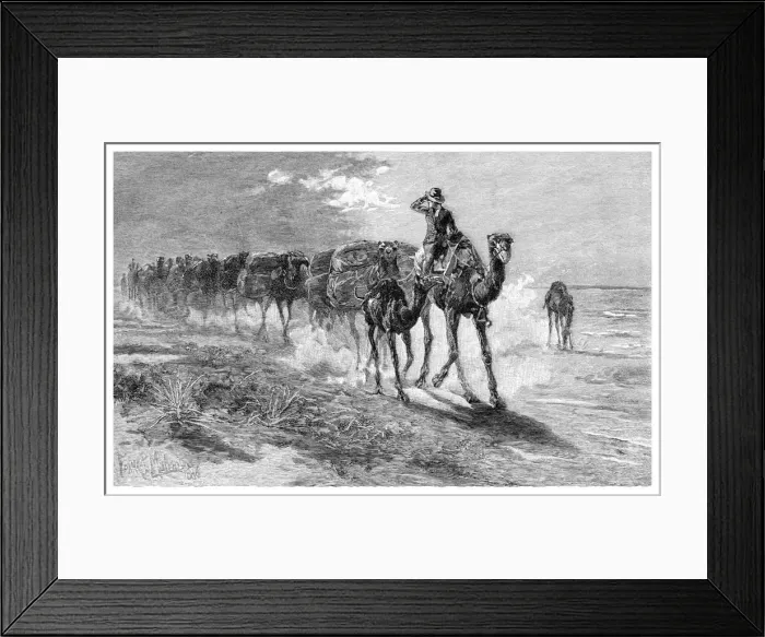 Framed Print : Camels carrying wool, 1886. Artist: Frank P Mahony Framed Print : Camels carrying wool, 1886. Artist: Frank P Mahony