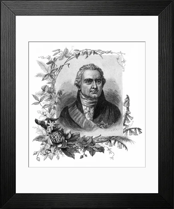 Framed Print : Sir Joseph Banks, English naturalist and botanist, (1886). Artist: W Macleod Framed Print : Sir Joseph Banks, English naturalist and botanist, (1886). Artist: W Macleod