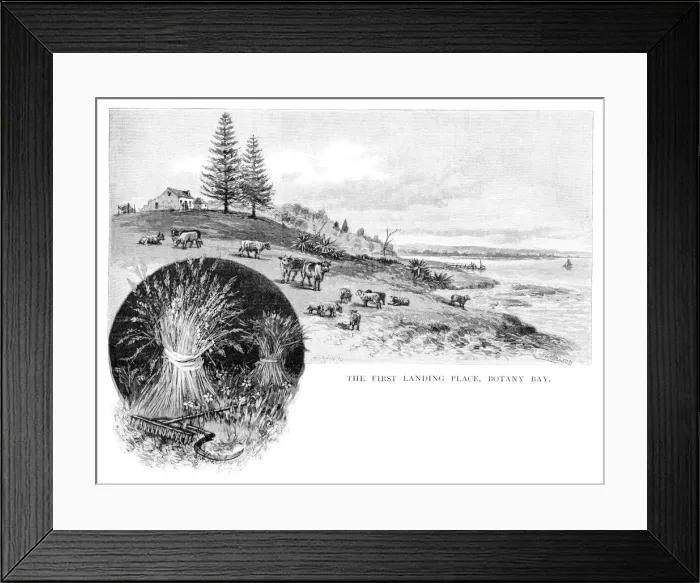 Framed Print : The first landing place, Botany Bay, New South Wales, Australia, 1886. Artist: W Macleod Framed Print : The first landing place, Botany Bay, New South Wales, Australia, 1886. Artist: W Macleod