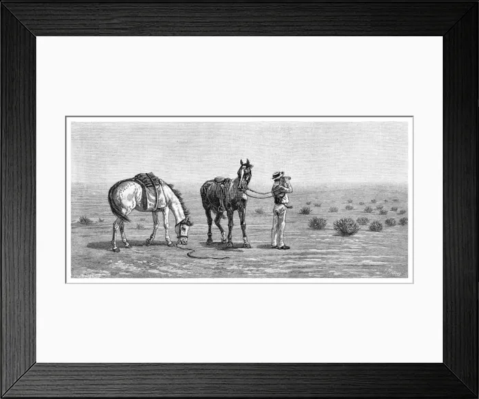 Framed Print : Nothing in Sight, 1886. Artist: Frank P Mahony Framed Print : Nothing in Sight, 1886. Artist: Frank P Mahony