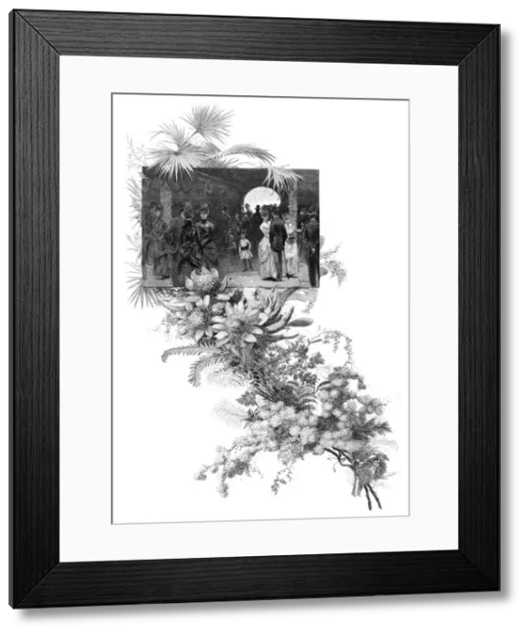 Framed Print : Manly wild flower show, Sydney, New South Wales, Australia, 1886 Framed Print : Manly wild flower show, Sydney, New South Wales, Australia, 1886