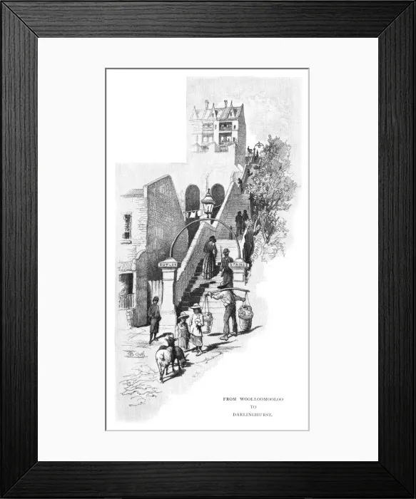 Framed Print : From Woolloomooloo to Darlinghurst, Sydney, New South Wales, Australia, 1886. Artist: Frederic B Schell Framed Print : From Woolloomooloo to Darlinghurst, Sydney, New South Wales, Australia, 1886. Artist: Frederic B Schell
