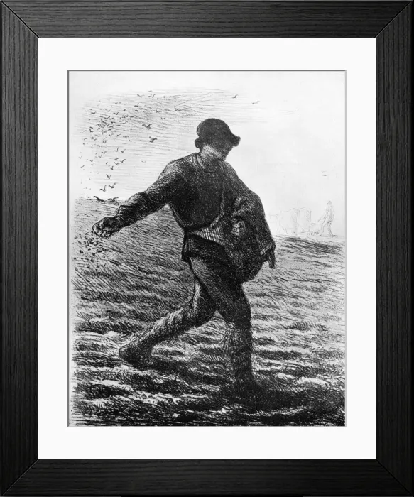 Framed Print : Le Semeur, c1850, (1913). Artist: Jean Francois Millet Framed Print : Le Semeur, c1850, (1913). Artist: Jean Francois Millet
