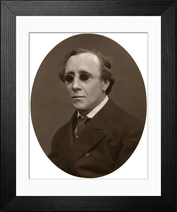 Framed Print : Henry Fawcett, MP, Professor of Political Economy at Cambridge University, 1876. Artist: Lock & Whitfield Framed Print : Henry Fawcett, MP, Professor of Political Economy at Cambridge University, 1876. Artist: Lock & Whitfield
