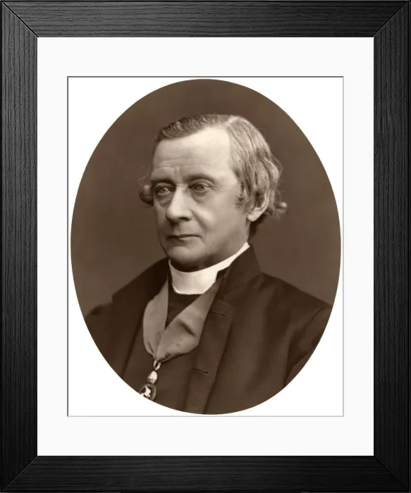 Framed Print : Edward Harold Browne, DD, Bishop of Winchester, 1876. Artist: Lock & Whitfield Framed Print : Edward Harold Browne, DD, Bishop of Winchester, 1876. Artist: Lock & Whitfield