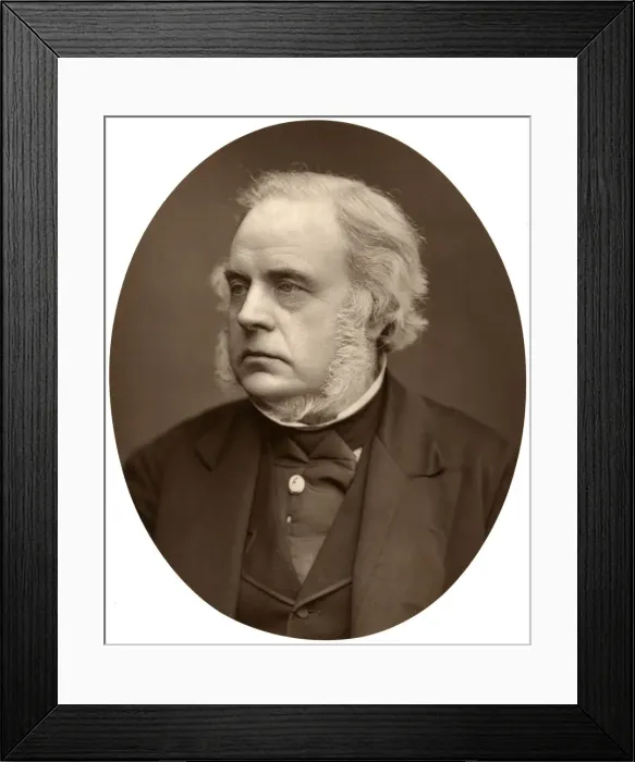 Framed Print : Right Hon John Bright, MP for Birmingham, 1876. Artist: Lock & Whitfield Framed Print : Right Hon John Bright, MP for Birmingham, 1876. Artist: Lock & Whitfield