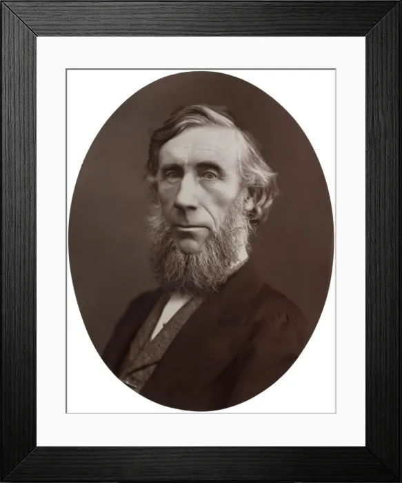 Framed Print : John Tyndall, DCL, LLD, FRS, Professor of Natural Philosophy at the Royal Institution, 1877. Artist: Lock & Whitfield Framed Print : John Tyndall, DCL, LLD, FRS, Professor of Natural Philosophy at the Royal Institution, 1877. Artist: Lock & Whitfield