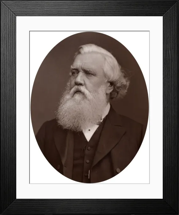 Framed Print : Right Hon Austen Henry Layard DCL, British Ambassador to Constantinople, 1877. Artist: Lock & Whitfield Framed Print : Right Hon Austen Henry Layard DCL, British Ambassador to Constantinople, 1877. Artist: Lock & Whitfield