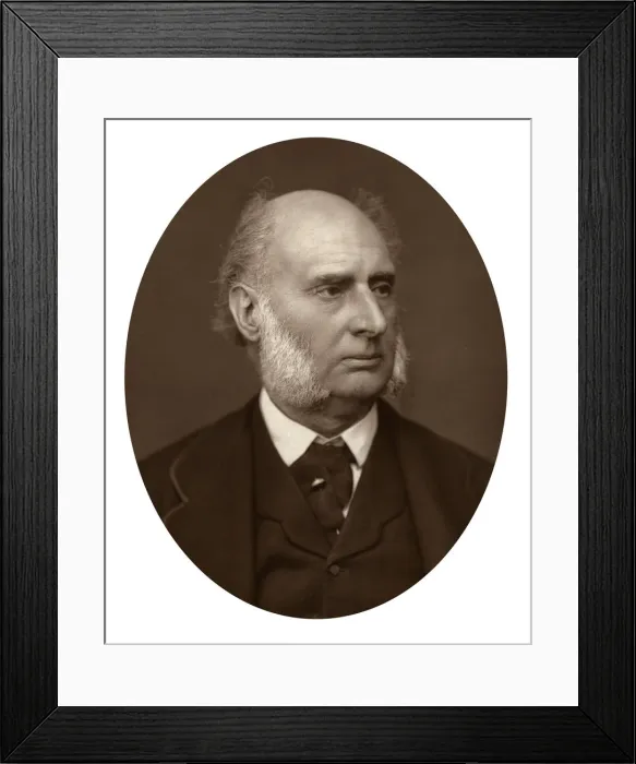 Framed Print : Sir James Plaisted Wilde, judge of the Court of Arches, 1880. Artist: Lock & Whitfield Framed Print : Sir James Plaisted Wilde, judge of the Court of Arches, 1880. Artist: Lock & Whitfield