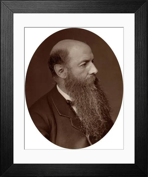 Framed Print : Sir Wilfrid Lawson, politician, MP for Carlisle, 1882. Artist: Lock & Whitfield Framed Print : Sir Wilfrid Lawson, politician, MP for Carlisle, 1882. Artist: Lock & Whitfield