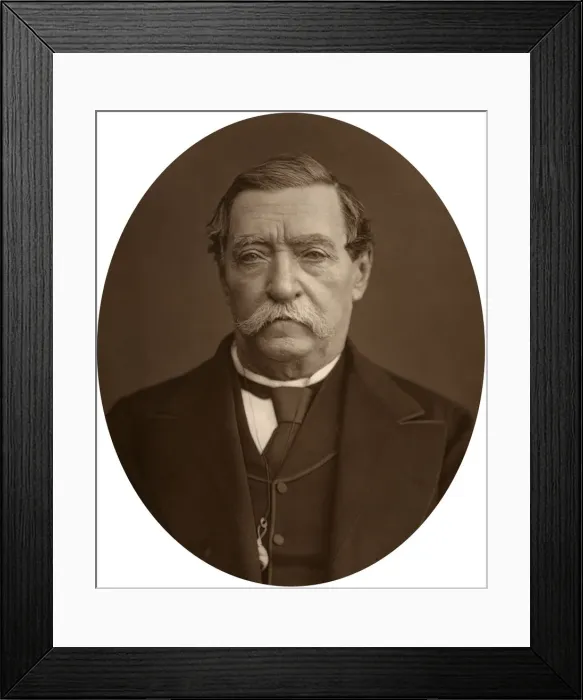 Framed Print : Lord Napier of Magdala, 1878. Artist: Lock & Whitfield Framed Print : Lord Napier of Magdala, 1878. Artist: Lock & Whitfield