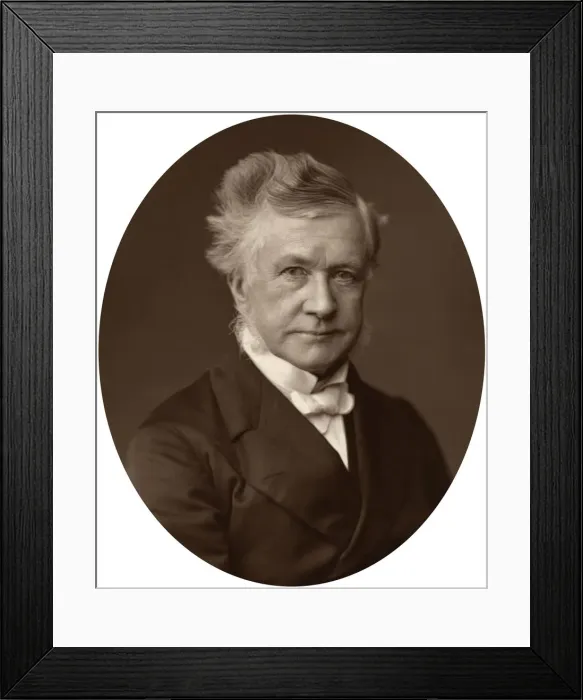 Framed Print : Sir Robert Lush, Judge of the High Court of Justice, 1881 Framed Print : Sir Robert Lush, Judge of the High Court of Justice, 1881