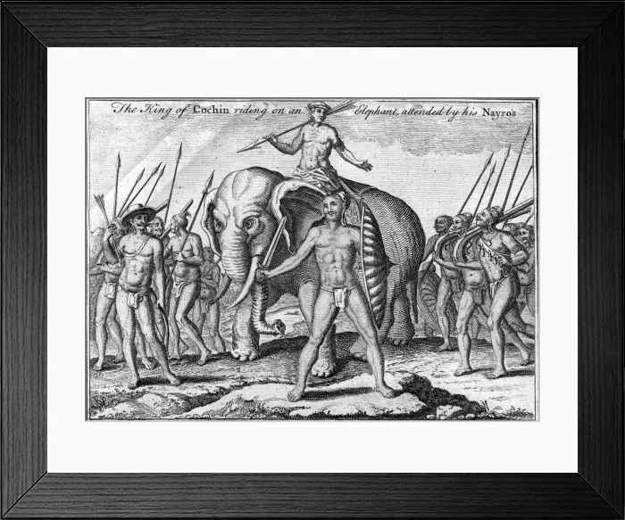 Framed Print : The King of Cochin riding on an elephant, attended by his Nayro s, c1745 Framed Print : The King of Cochin riding on an elephant, attended by his Nayro s, c1745