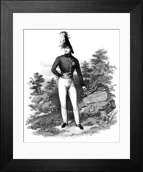 Framed Print : Napoleon Bonaparte, French general and Emperor Framed Print : Napoleon Bonaparte, French general and Emperor