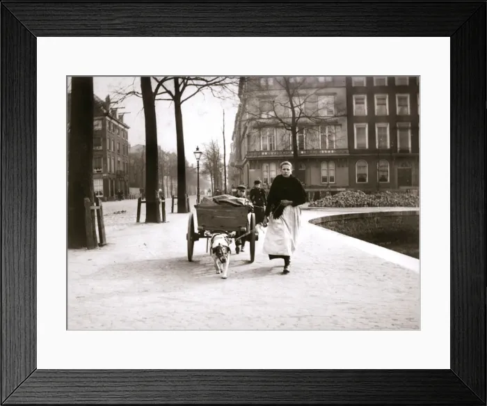 Framed Print : Woman with dogcart, Rotterdam, 1898. Artist: James Batkin