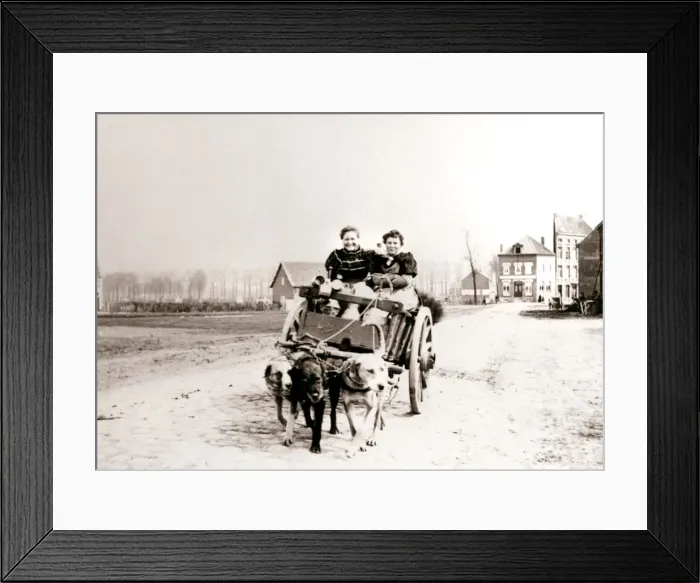 Framed Print : Dogs pulling women on a cart, Antwerp, 1898. Artist: James Batkin Framed Print : Dogs pulling women on a cart, Antwerp, 1898. Artist: James Batkin