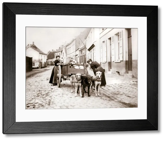 Framed Print : Women and dogcart, Antwerp, 1898. Artist: James Batkin Framed Print : Women and dogcart, Antwerp, 1898. Artist: James Batkin