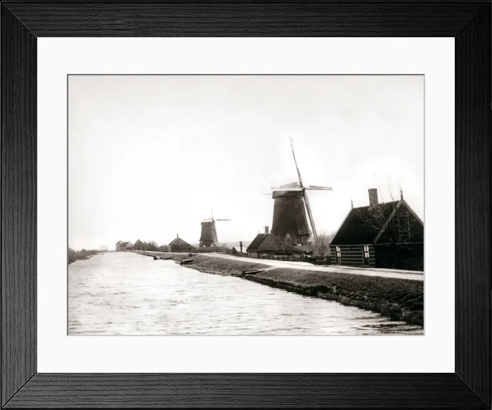 Framed Print : Windmills, Laandam, Netherlands, 1898. Artist: James Batkin Framed Print : Windmills, Laandam, Netherlands, 1898. Artist: James Batkin