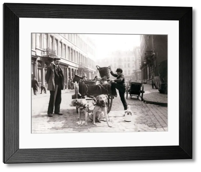 Framed Print : Boy with dogcart, Antwerp, 1898. Artist: James Batkin Framed Print : Boy with dogcart, Antwerp, 1898. Artist: James Batkin