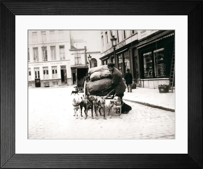 Framed Print : Man with dogcart, Antwerp, 1898. Artist: James Batkin Framed Print : Man with dogcart, Antwerp, 1898. Artist: James Batkin