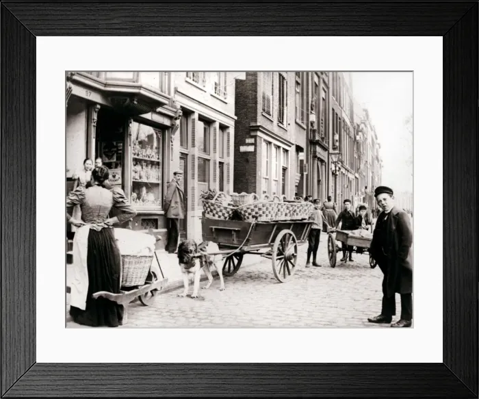 Framed Print : Dogcart, Antwerp, 1898. Artist: James Batkin Framed Print : Dogcart, Antwerp, 1898. Artist: James Batkin