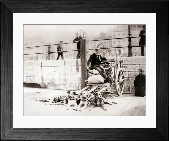 Framed Print : Man with dogcart, Antwerp, 1898. Artist: James Batkin Framed Print : Man with dogcart, Antwerp, 1898. Artist: James Batkin
