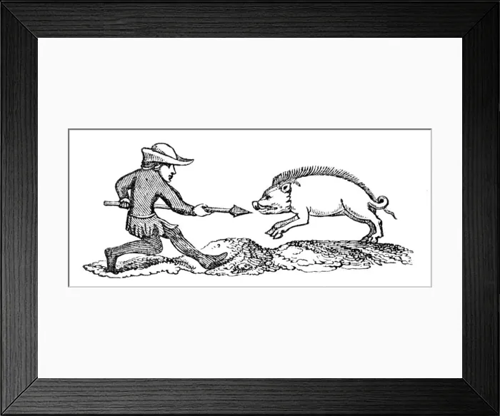 Framed Print : Spearing a Boar, 14th century, (1833)