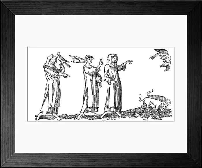 Framed Print : Ladies Hawking, 14th century, (1833) Framed Print : Ladies Hawking, 14th century, (1833)
