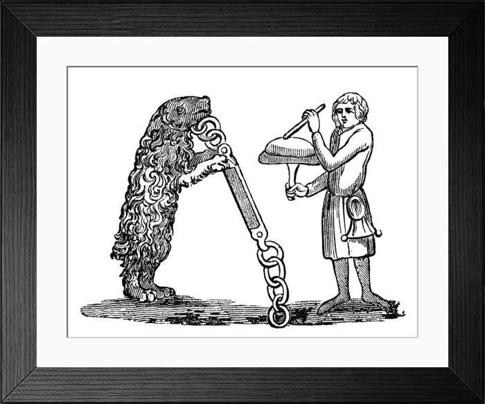 Framed Print : Tutored Bear, 14th century, (1833) Framed Print : Tutored Bear, 14th century, (1833)